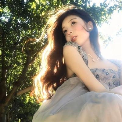 穆桂英之大破天门阵国语